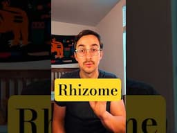 the rhizome #deleuze #rhizome #antioedipus #guattari #power #possibility #truth #knowledge #love