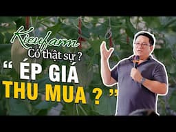 ÉP GIÁ THU MUA ? | Giải Đáp Thắc Mắc Cùng Nông Dân