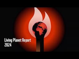 WWF’s 2024 Living Planet Report