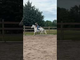 Who did the dismount best? #horsetraining #equestrian