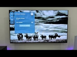 LG OLED update 03.51.15, 2 NEW changes!