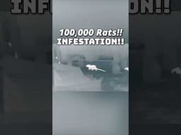 Surrounded by 100,000 Rats 😱