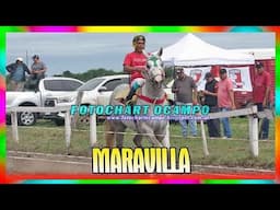 MARAVILLA   San Bernardo   Chaco 27 04 2025