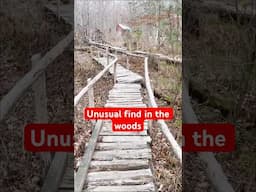 Secrets Hidden in the Woods in New Jersey #Exploring #Adventure #Weird #Unusual #Hiking