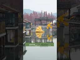 Urban Stroll: Xianghu Lake #hangzhou #travel