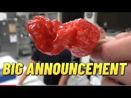 HUGE CTH ACCOUNCEMENT! David & Goliath and the SPIRALING BHUTLAH: A Scorching Challenge!