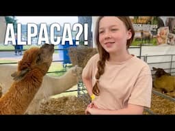 SHEEP GAME SHEARING, RUN AWAY PIGS & MYSTERY TRACTOR - Three Counties Show 2025