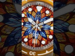 Signum Cuda Bronze Cathedral - Full Review Friday
