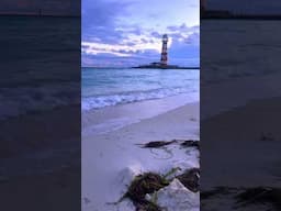 Ocean Cay - Dreaming of sunnier shores 🌧️✨ #MSC #OceanCay #beach