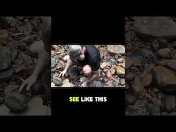 HUNTING For Flintknapping Stone With The People Of Toka Village In Guyana #survival #flintknapping