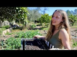 Traditional Irrigation, Summer Seeds, and a Job We Were Dreading…
