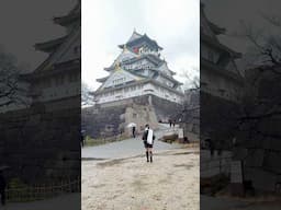 DAY 12 in Osaka Japan #traveljapan #osakatravel #osaka