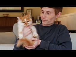 Meet My New Kitten