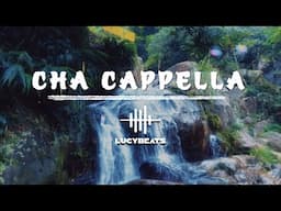 Cha Cappella || Joyful Journeys: Jazz Music with Happy Tunes || Ep.142
