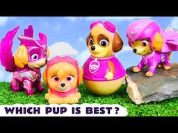 Who is the best Paw Patrol pup for these fun rescues?