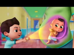 A Baby is Born! Mommy Has a Baby in Her Belly | Educational Videos & Nursery Rhymes for Kids