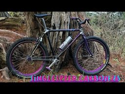 Carbon 90’s Single-speed build - Giant Cadex CFM2