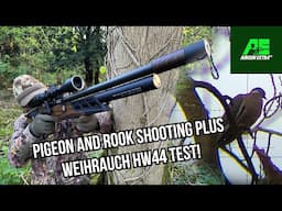 Airgun Extra | Pigeon and rook shooting | Weihrauch HW44 pistol review