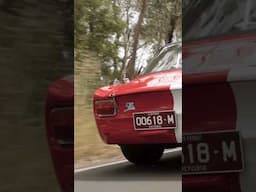 Phil's Alfa Romeo 105 Giulia GT Veloce 1600 | DRIVEN | Ep 15 | Teaser