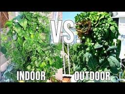 Indoor VS Outdoor Tower Gardens Episode 1 The Wind is destroying my plants!