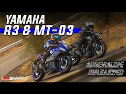 Yamaha R3 & MT-03 | Adrenaline Unleashed | ZigWheels