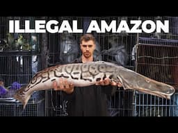 Inside the World's Largest Illegal Exotic Animal Market... (Tour)