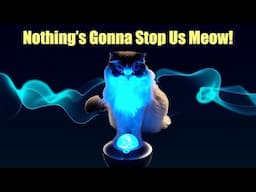 Nothing's Gonna Stop Us Now - not by Starship this time, but CATS! Parody Song.