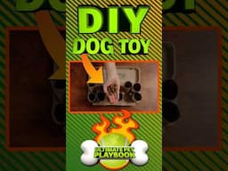 DIY Dog Puzzle Toy—Using Stuff Around Your House?!