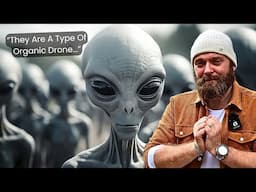 Small Gray Aliens, Biological Suits Of The Fallen Angels