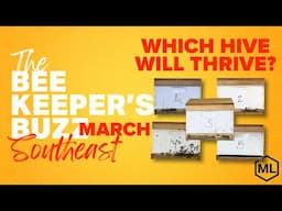 Comparing Five Bee Hives - 4 Treated 1 Left to Nature