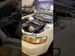 Our H22 Swapped 99 Accord is coming together.