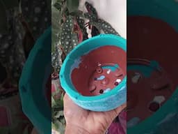 Fácil de fazer e fica lindo