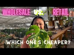 Stop Overpaying for Houseplants - Investigating Retail vs. Wholesale Pricing
