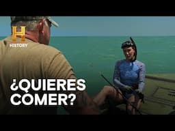 ¿QUIERES COMER? - AMOS DEL PANTANO