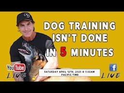 Dog Training Takes Time and Patience