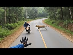 Luckiest People Caught on Camera