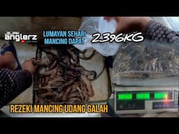 Rezeki Mancing Udang Di Legaran Air Gemuruh Kampung Padang || Setelah Timbang Dapat 2.396kg