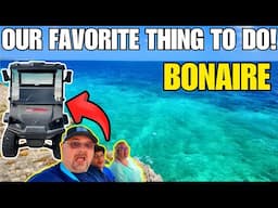 Bonaire Island Tour | Things To Do In Bonaire In One Day