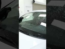 Expertly Detailing A Porsche Macan For PERFECTION