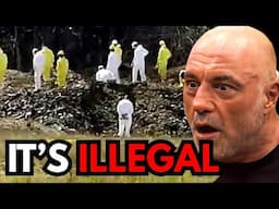 JRE: They Released Something Terrifying In the United States
