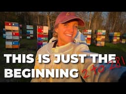 🐝 From Hobby to 281 Hives — The Making of a Beekeeping Business! 🐝 / Beekeeping 101 #beekeeping