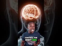 Left brain = right body; right brain = left body. Truth or Trash Episode 261 #biology