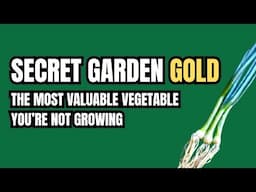 Salad Onions – The Most Valuable Vegetable in the Garden!