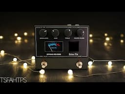 We like this a LOT...Echo Fix EF-P2 Spring Reverb