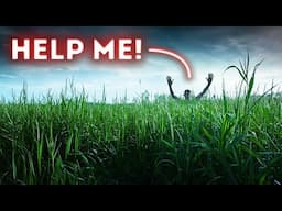 A Man Vanished in Daylight - What Happened in That Field?
