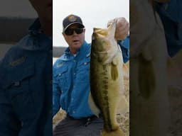 Not a bad first fish! It’s heating up! #bass #fishing #fish #bassfishing #ky #kentucky #outdoors