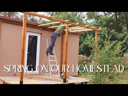 Building a Pergola for the Pallet Cabin