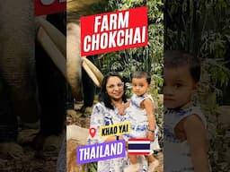 Best Family Friendly attraction in Thailand 🇹🇭 - Farm Chokchai  #shorts