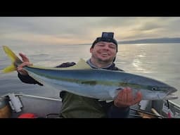 3 Days Jigging for Snapper & Kingfish | Kapiti Coast 2025