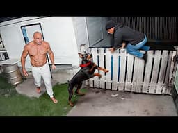 When Thieves Rob The WRONG House !